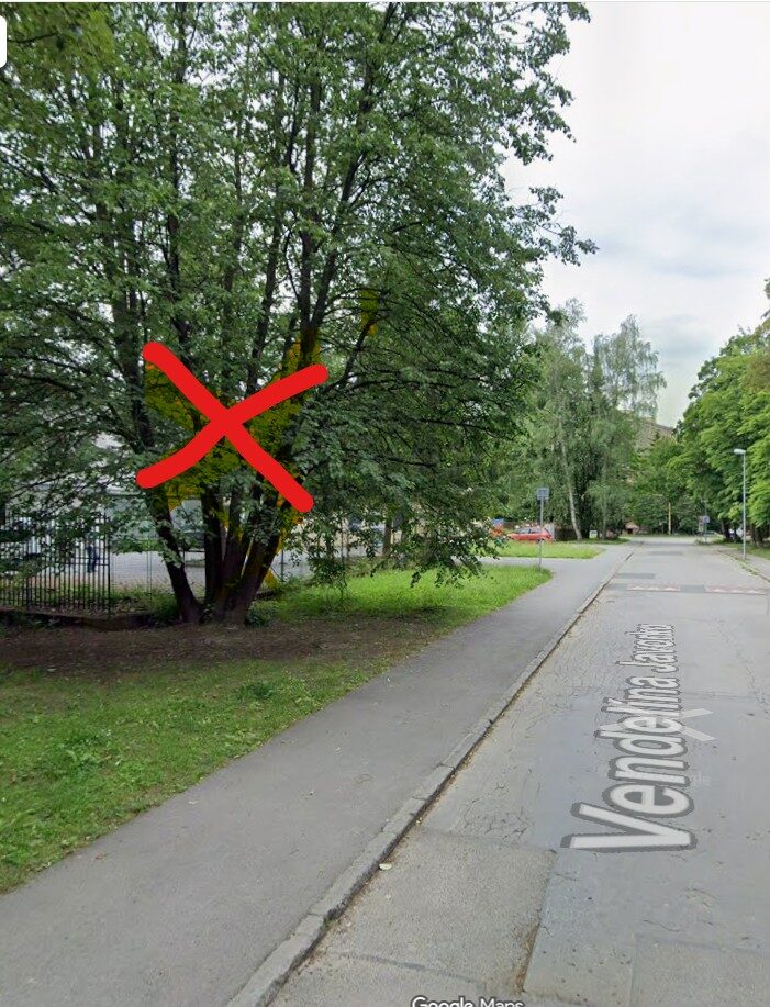 Mesto Žilina zrealizuje na začiatku októbra výrub vzrastlého stromu na ulici Vendelína Javorku,